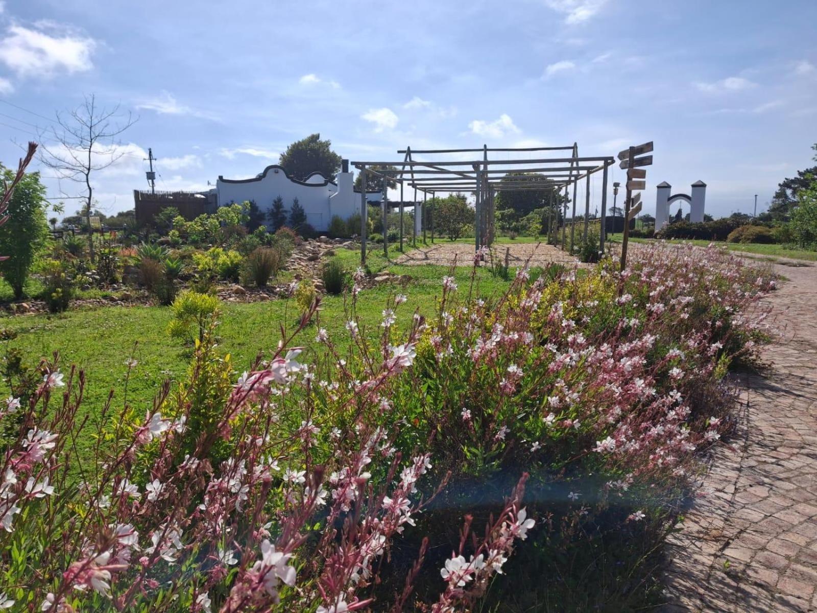 Dunkes Organic Equestrian Estate Lejlighed George Eksteriør billede